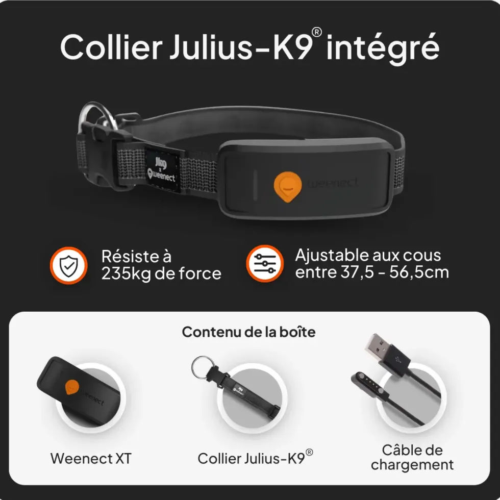 Collier GPS pour chien coloris noir Weenect XT