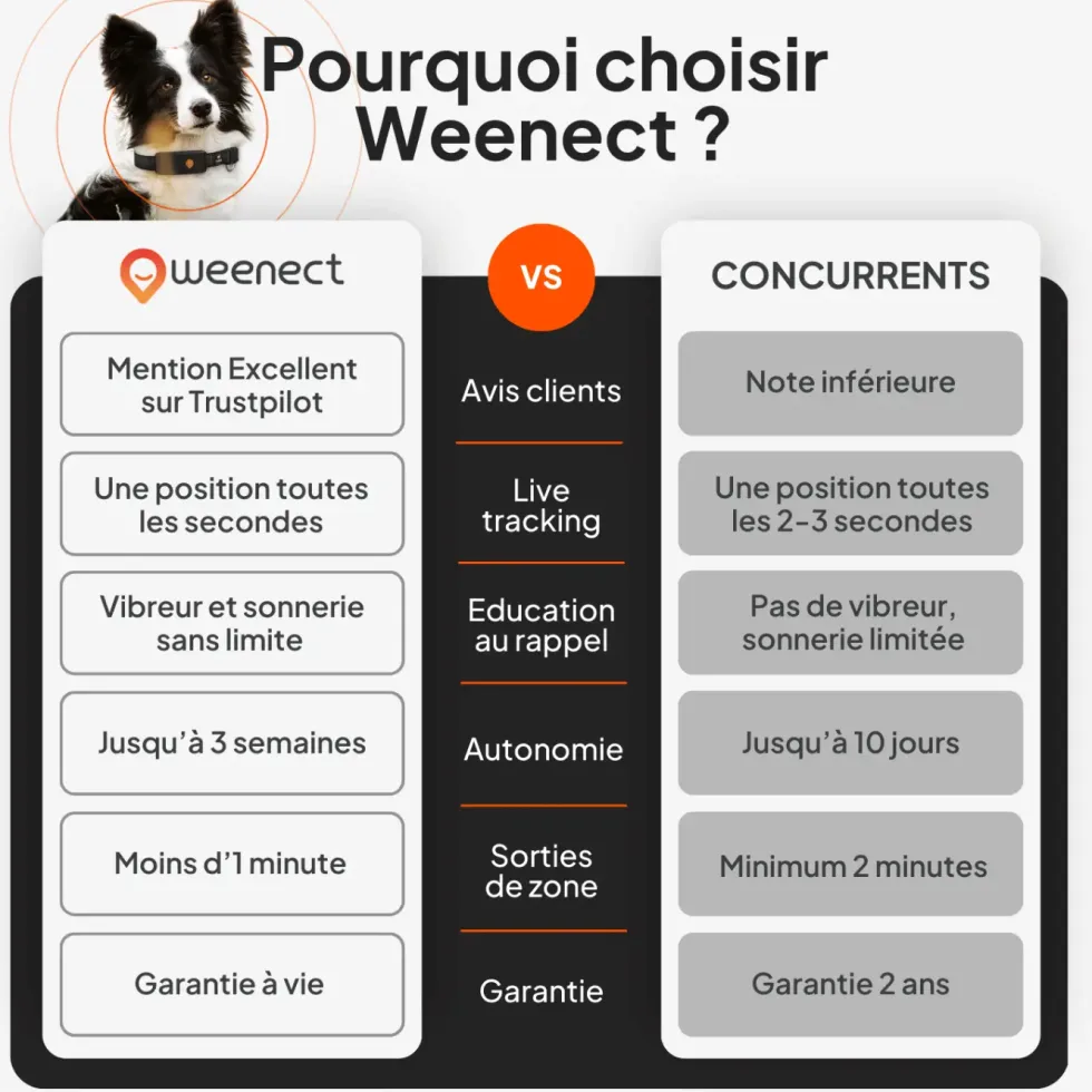 Collier GPS pour chien coloris noir Weenect XT