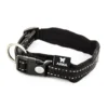Collier neo+ noir 1,5 x 30-35 cm