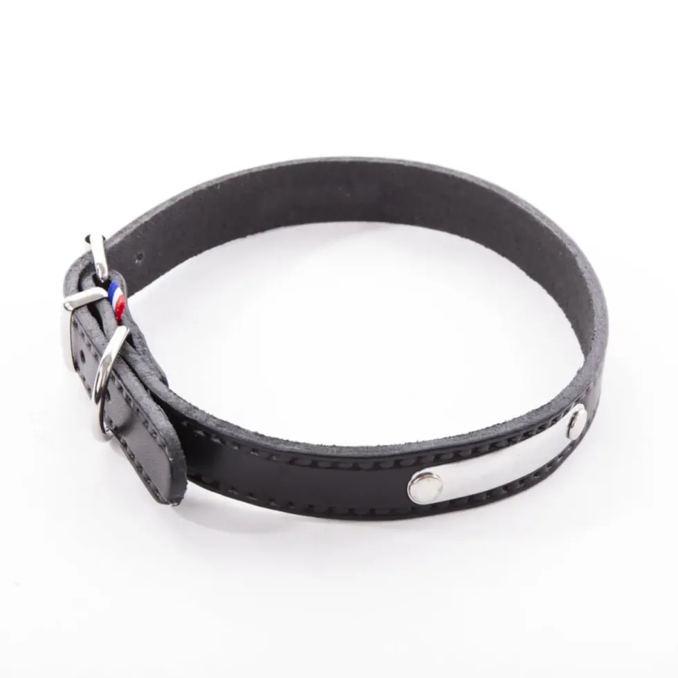 Collier pour chien en cuir coloris noir Martin Sellier Rive - Taille 20/50