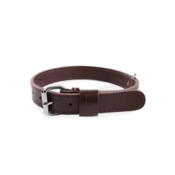 Collier pour chien en cuir coloris marron double épaisseur Martin Sellier - Taille 25/55