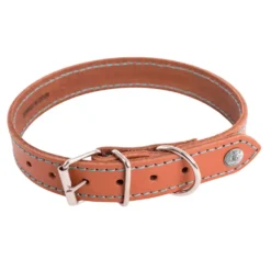 Collier pour chien en cuir coloris cognac turquoise Martin Sellier Flash - taille 35/75