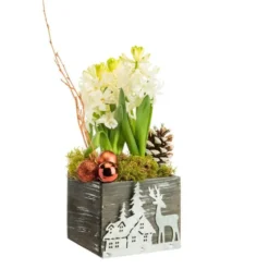 Composition florale de 3 jacinthe pot en bois et décoration en zinc coloris multicolore