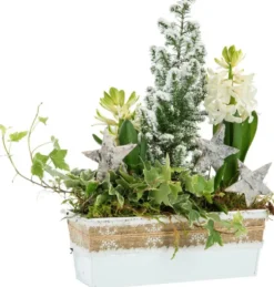 Composition jardinette pot zinc blanc décor ruban rustique - 22 cm