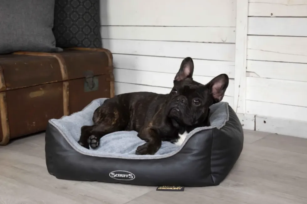 Corbeille à mémoire de forme pour chien et chat Château Scruffs – Taille S