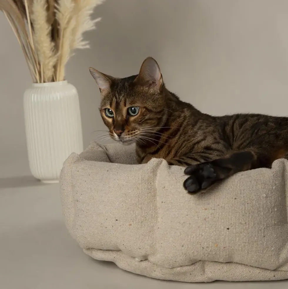 Corbeille pour chat en tissu vert Scruffs Eco Eden - 45 cm