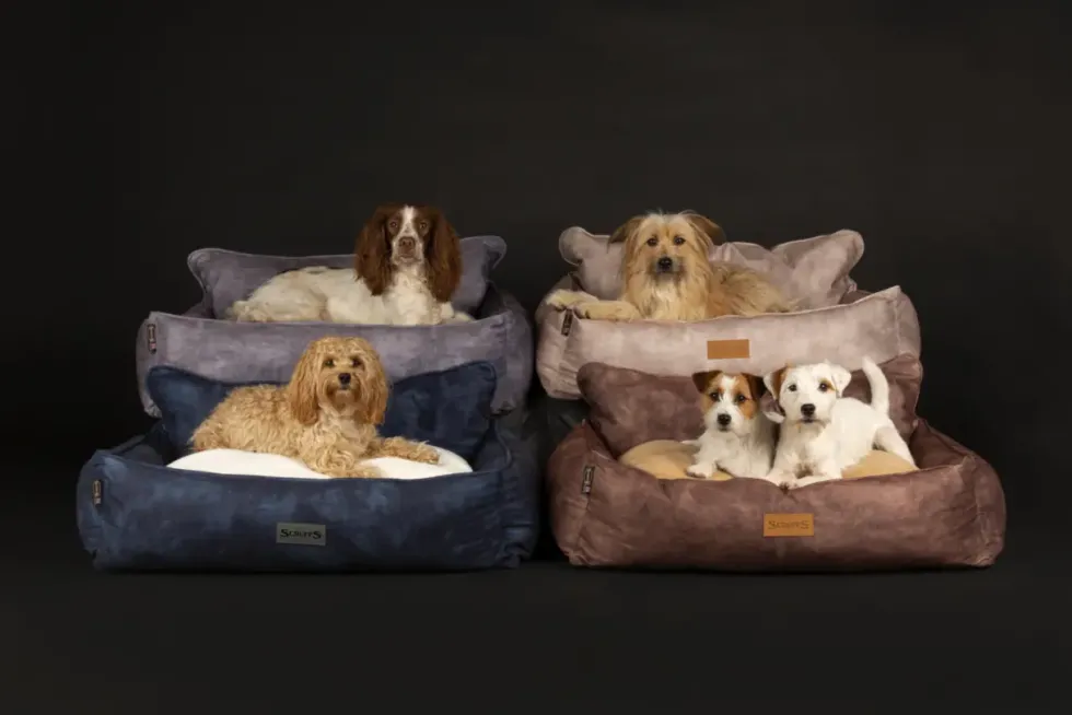 Corbeille pour chien bleu Kensington Scruffs – Taille M
