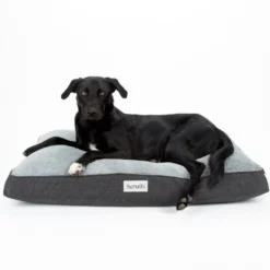 Couchage orthopédique pour chien coloris gris Scruffs Harvard - Taille XXL 140 x 100 x 20 cm
