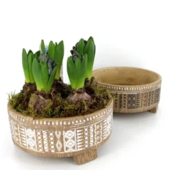 Coupe de 5 jacinthes décor éthnique - La composition