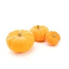 Courge Jack Be Little bio de France - Prix au kg