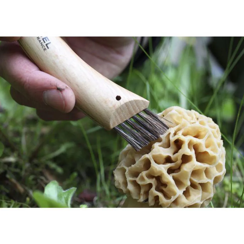 Couteau à champignon avec brosse coloris naturel n°8 Opinel