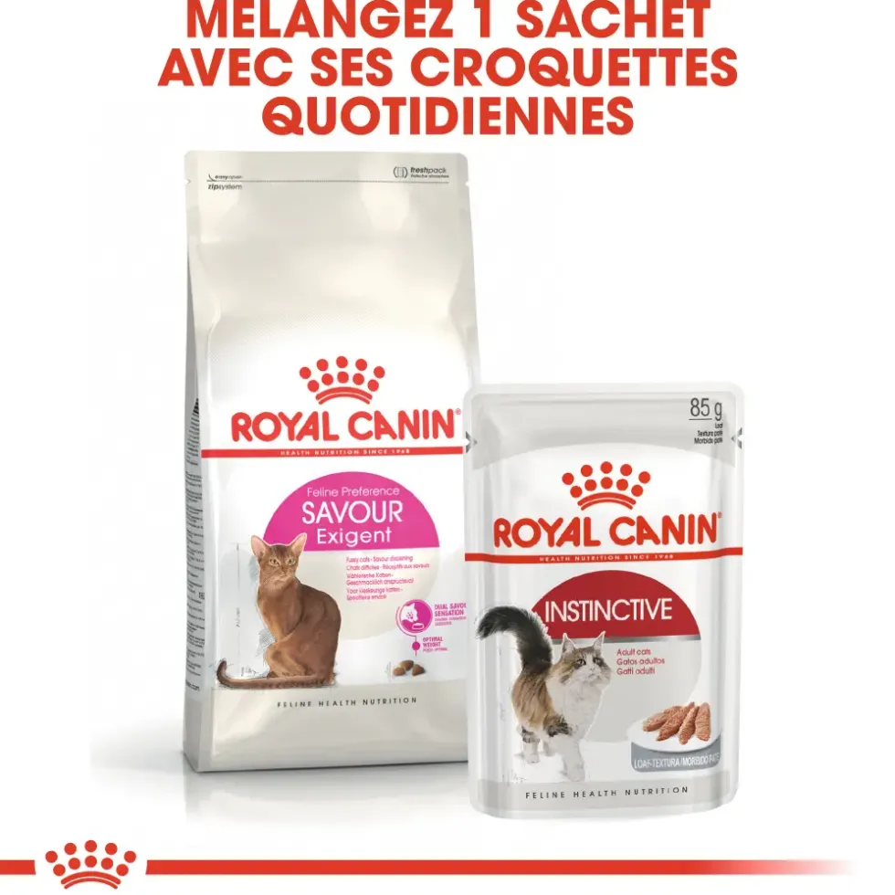 Croquettes pour chat adulte difficile Royal Canin Savour Exigent - 2 kg