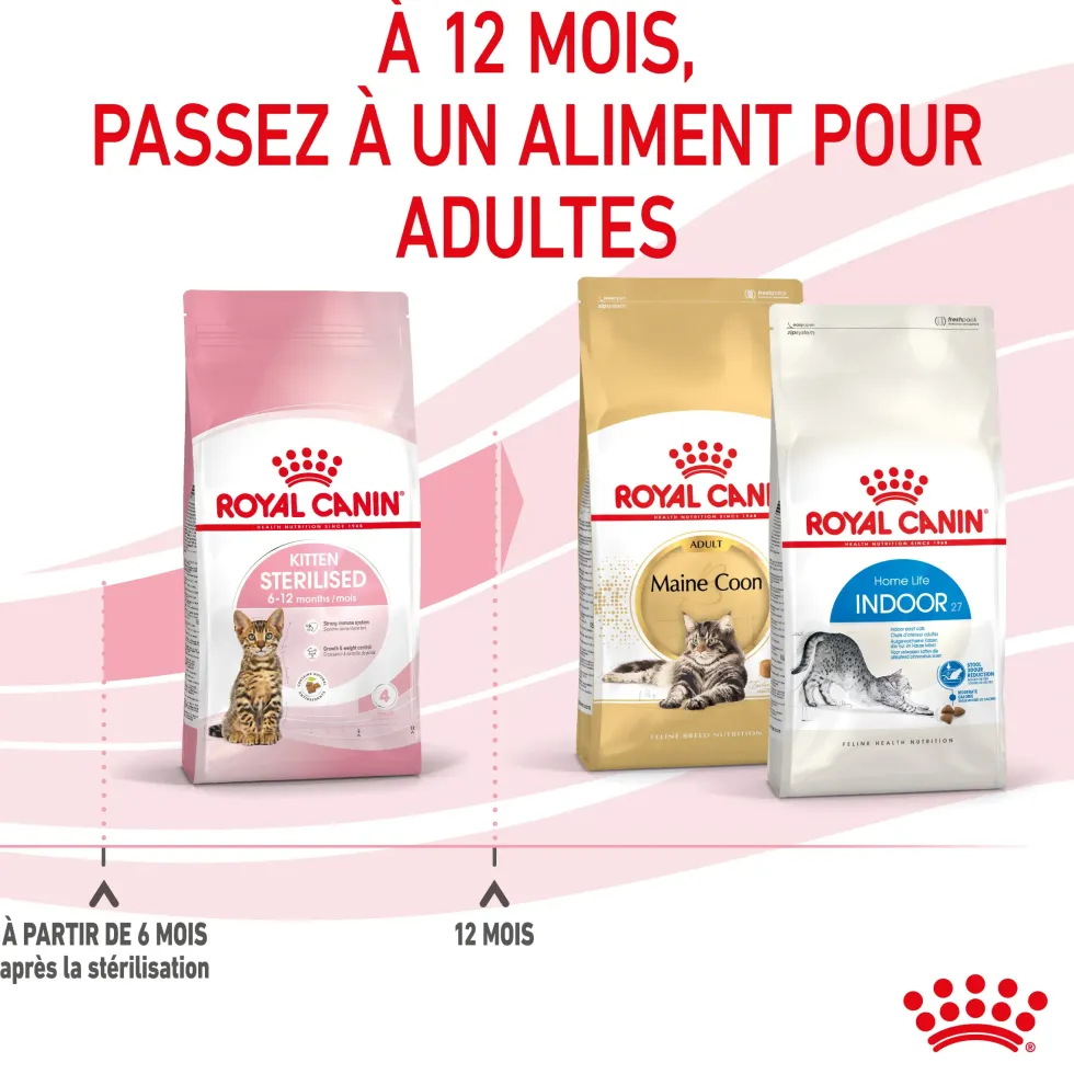 Croquettes pour chaton stérilisé Royal Canin Kitten Sterilised - 2 kg