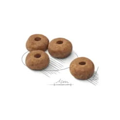 Croquettes pour chien adulte stérilisé de taille moyenne Royal Canin Medium Sterilised - 3 kg