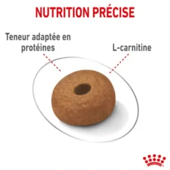 Croquettes pour chien adulte de grande taille en surpoids Royal Canin Maxi Light Weight Care - 12 kg