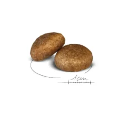Croquettes pour chien adulte de grande taille Royal Canin Maxi Adult - 15 kg