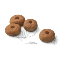 Croquettes pour chien adulte stérilisé de grande taille Royal Canin Maxi Sterilised Adult - 12 kg