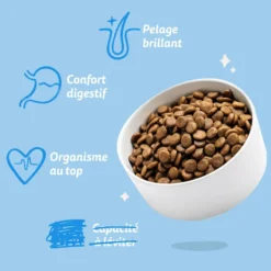 Croquettes pour chien adulte au saumon sans céréales Edgard & Cooper - 2,5 kg