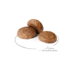 Croquettes pour chien de taille moyenne mature Royal Canin Medium Adult 7+ - 4 kg