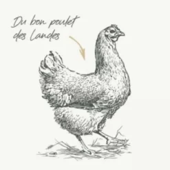 Croquettes pour chien mini adulte au poulet sans céréales Bab'in Signature - 2 kg