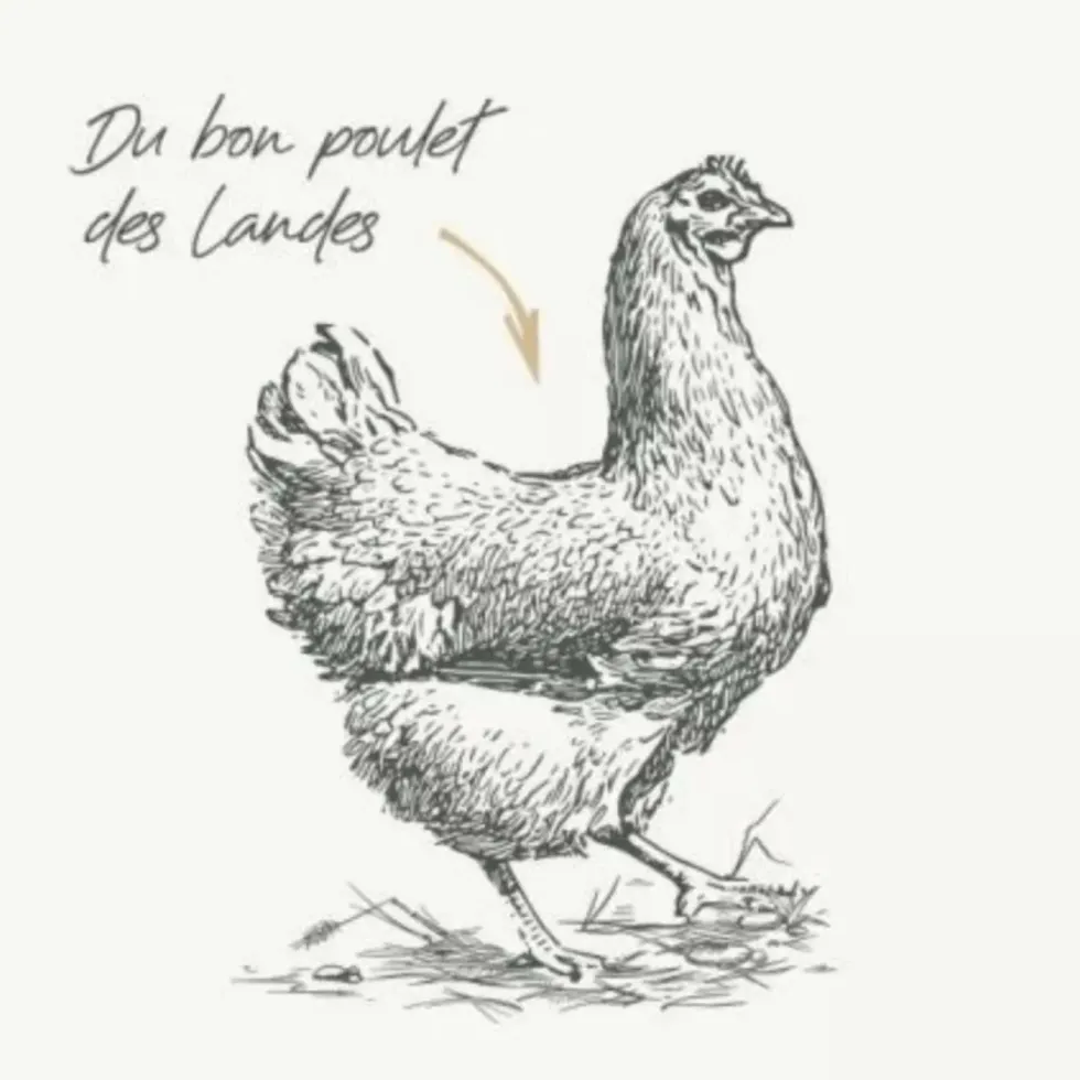 Croquettes pour chien mini adulte au poulet sans céréales Bab'in Signature - 2 kg