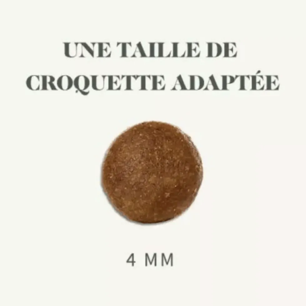 Croquettes pour chien mini adulte au poulet sans céréales Bab'in Signature - 2 kg