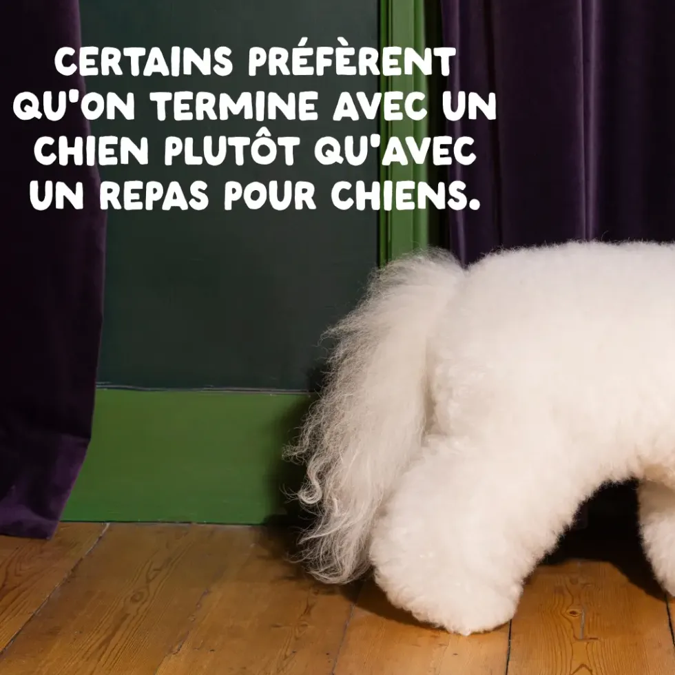 Croquettes pour chiot au canard et au poulet sans céréales Edgard & Cooper - 7 kg