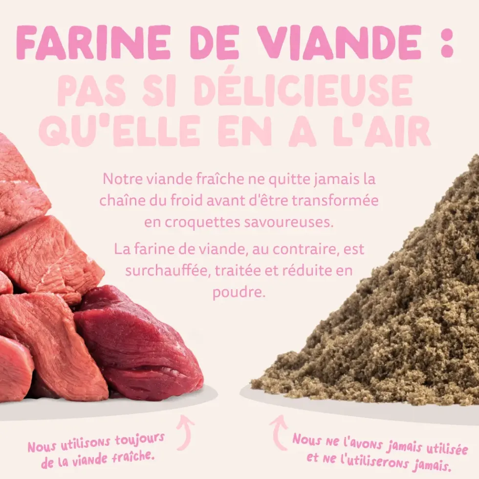 Croquettes pour chiot au canard et au poulet sans céréales Edgard & Cooper - 7 kg