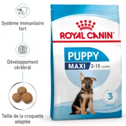 Croquettes pour chiot de grande race Royal Canin Maxi Junior - 12 kg