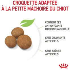 Croquettes pour chiot de grande taille Royal Canin Maxi Puppy - 3 kg