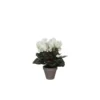 Cyclamen blanc plante artificielle en pot gris H 30 x Ø 30 cm