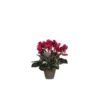 Cyclamen rose foncé plante artificielle en pot gris H 30 x Ø 30 cm