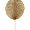 Décoration feuille ronde coloris beige en feuille de palmier - 35 x 60 cm