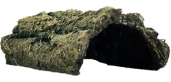Décor pour aquarium ou terrarium coloris vert Hobby Bark Cave - Taille M 25,5 x 16 x 8,5 cm