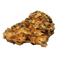 Dragon stone naturelle taille S (0.8-1.2kg) - AQUA DECO - à l'unité