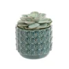 Echeveria + cache-pot céramique, Ø12 cm