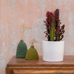 Euphorbia hermentiana rubra en pot blanc émaillé H 10 x Ø 15 cm