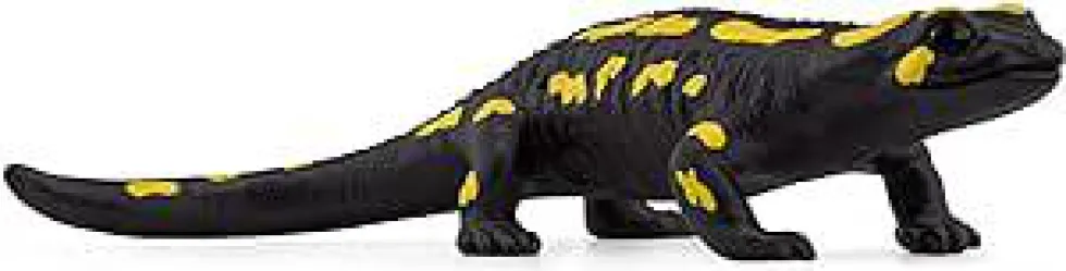 Figurine Salamandre tachetée Schleich