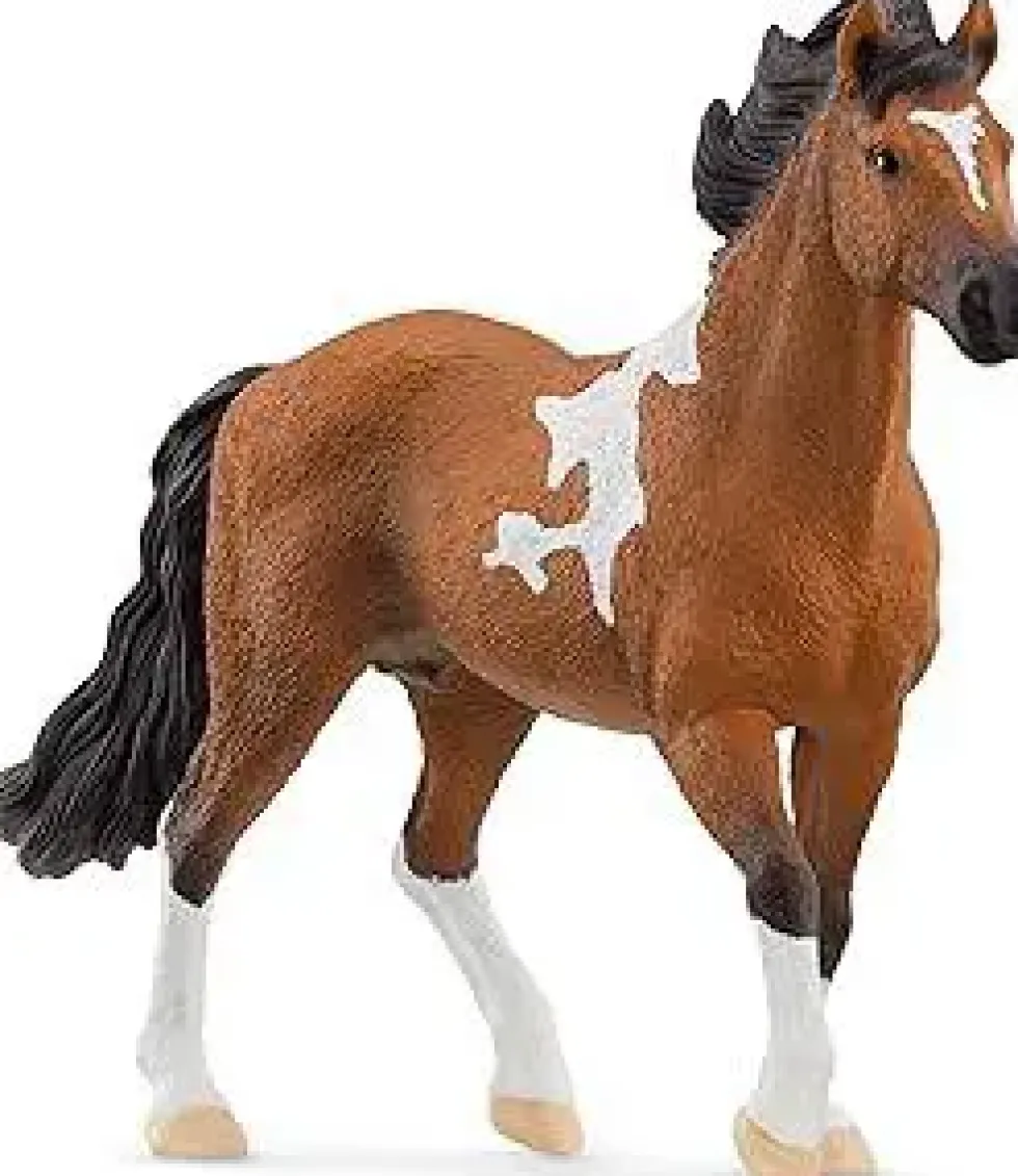 Figurine Étalon Mangalarga marchador Schleich