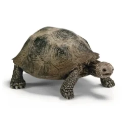 Figurine Tortue géante Série Animaux sauvages 8,5x5,5x4 cm