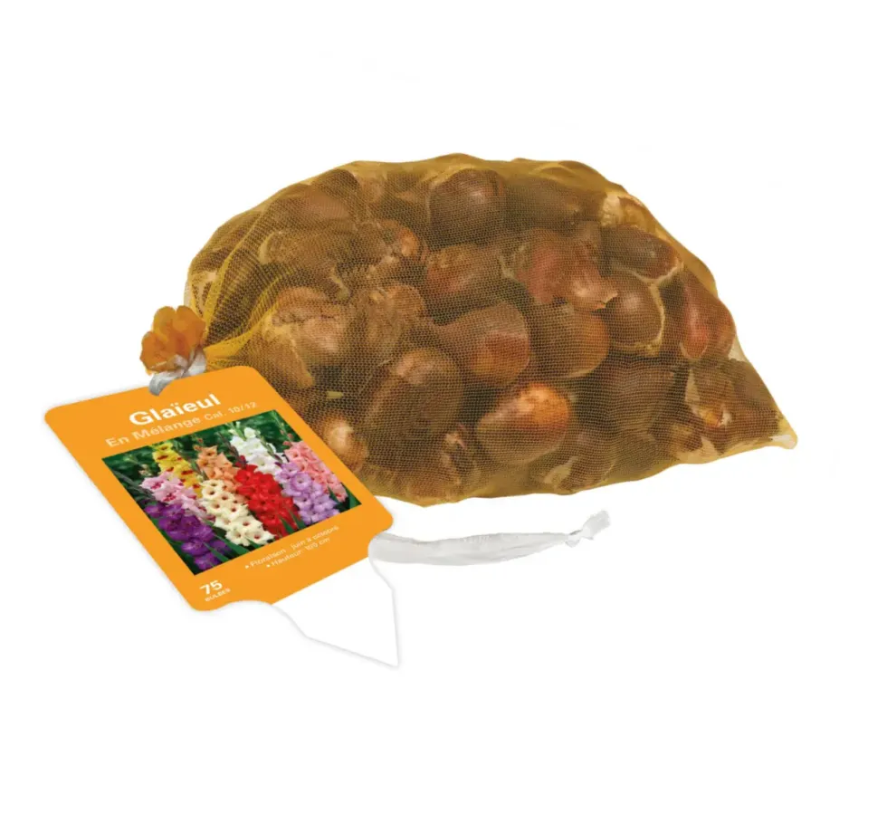 Filet de 75 bulbes de glaïeuls