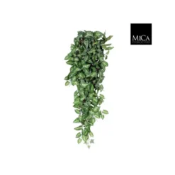 Fittonia artificiel vert en chute 80x30x15 cm