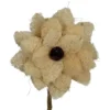 Fleur de luffa nature blanchie - Ø 15 x H 75 cm