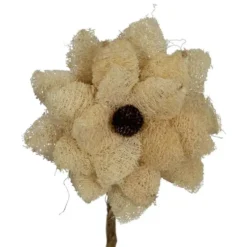 Fleur de luffa nature blanchie - Ø 15 x H 75 cm