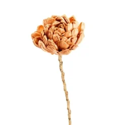 Fleur en bois de Sola et coco forme Dalhia - Ø 8 x H 50 cm