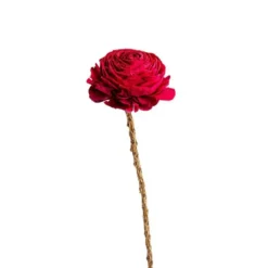 Fleur en bois de Sola et coco forme Dalhia - Ø 8 x H 50 cm