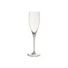 Flûte à champagne en verre transparent Poesia - 25 cl