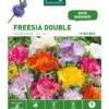 Freesia Double en mélange botanic® - 15 bulbes