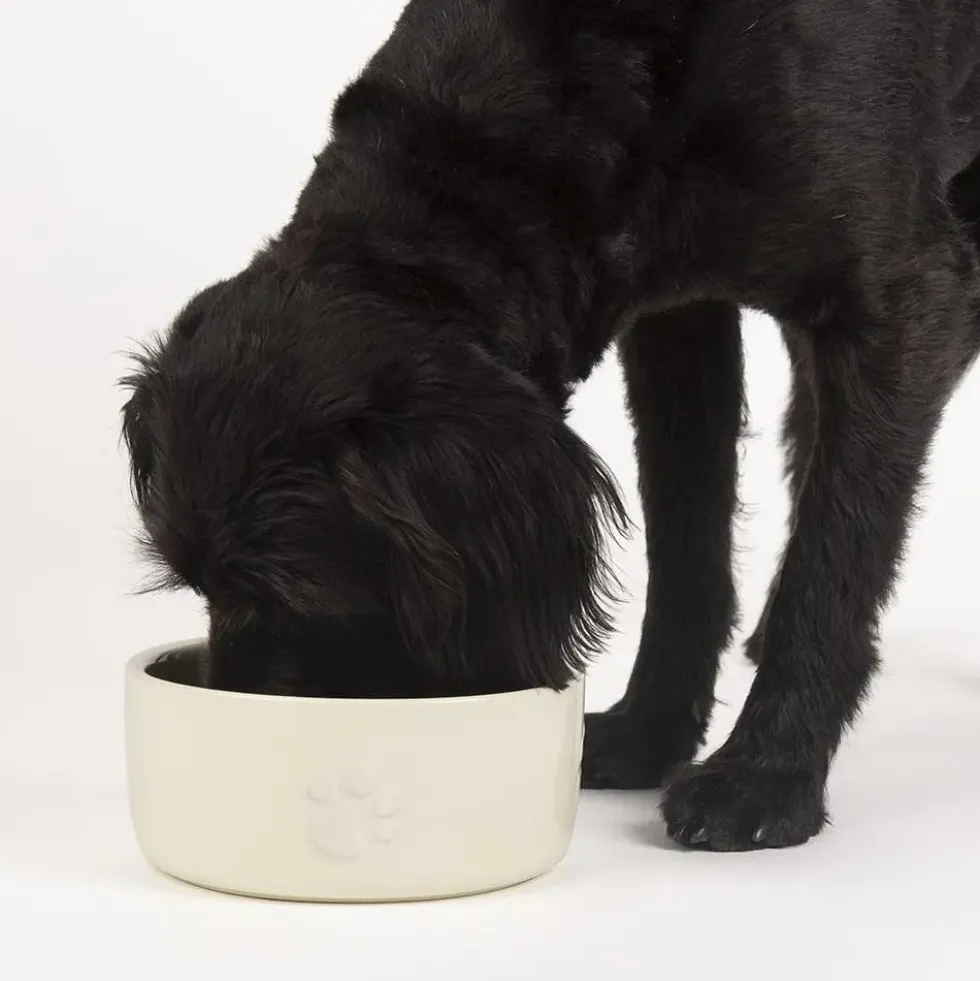 Gamelle repas pour chien coloris beige clair en grès Scruffs – 19 x 19 x 8,5 cm
