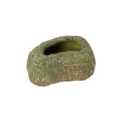 Gamelle vers de farine pour vivarium coloris vert Reptile Planet - 11,5 x 8,5 x 4 cm